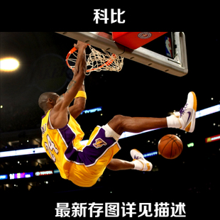 不动产权证书是开发商去办的吗?
